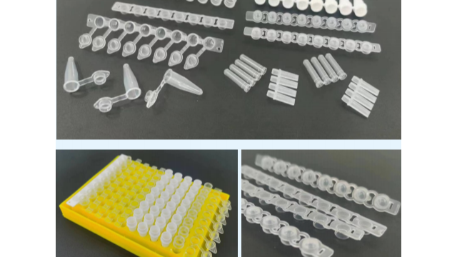 PCR 管：单管、4 排管与亚美AM8AG 8 排管的特点与亚美AM8AG应用